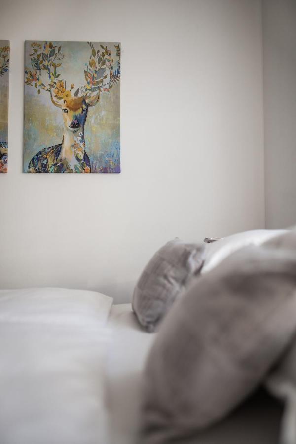 מוסטר Big Tree Apartment & The Nest Apartment - Free Parking מראה חיצוני תמונה