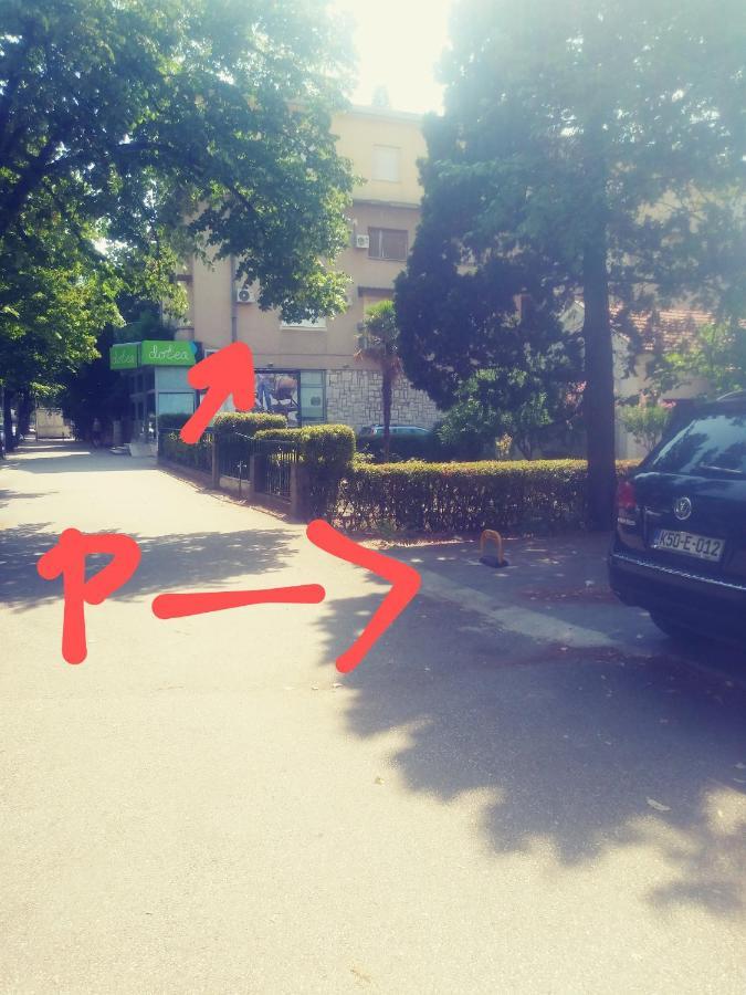 מוסטר Big Tree Apartment & The Nest Apartment - Free Parking מראה חיצוני תמונה
